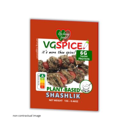 VGSPICE SHASHLIK