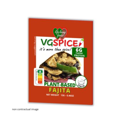 VGSPICE FAJITA